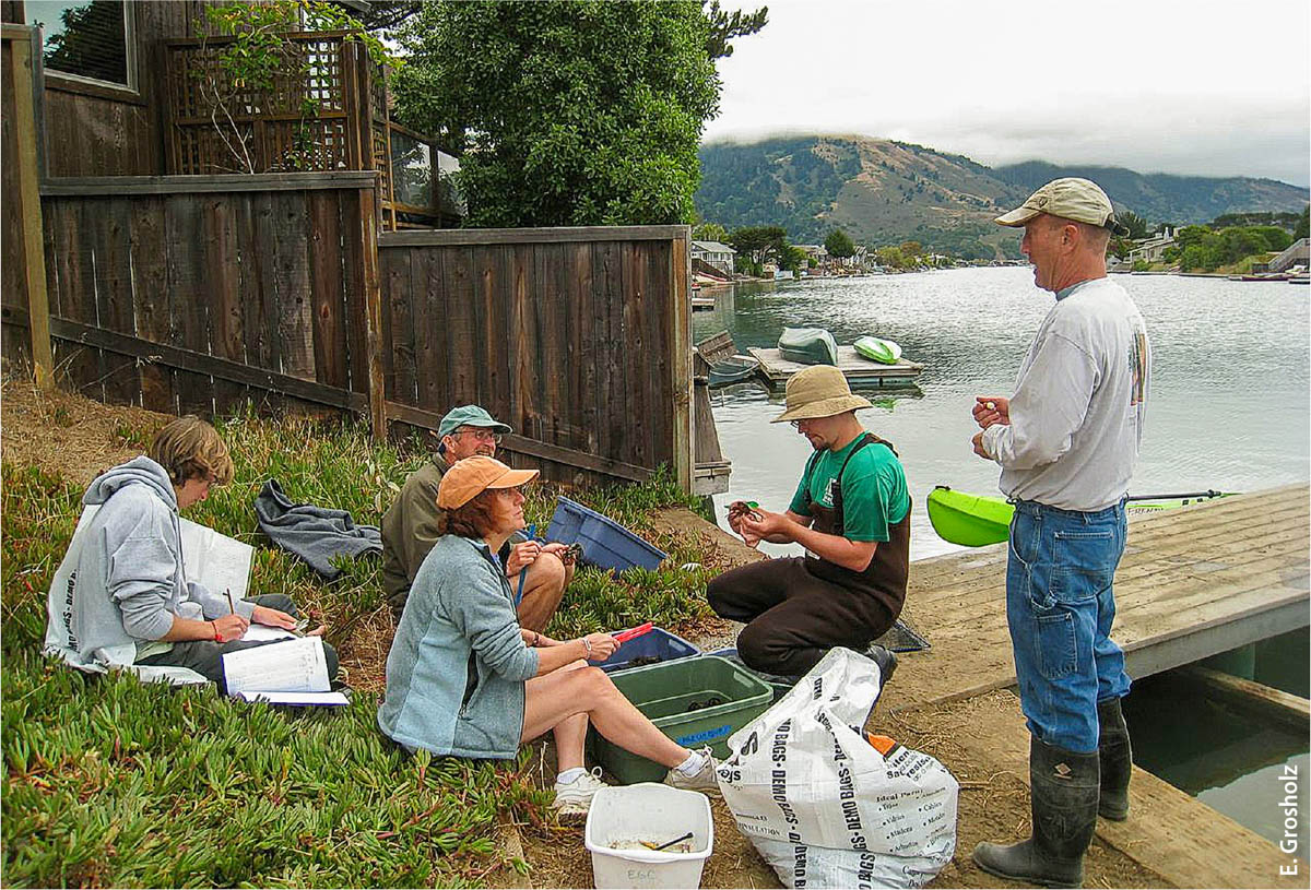 Community scientists shown collecting data from the crabs trapped in Seadrift Lagoon (background).