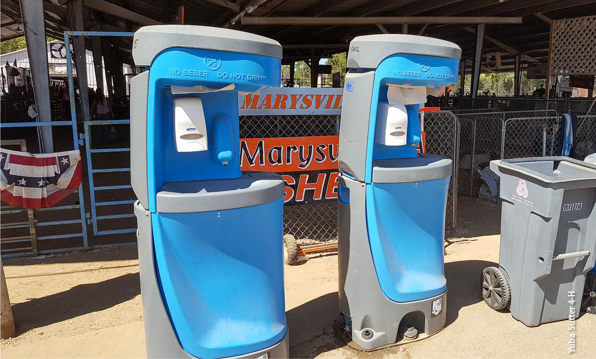 Biosecurity recommendations made by 4-H youth were implemented by the Yuba-Sutter Fair leadership, including adding additional hand-washing stations.
