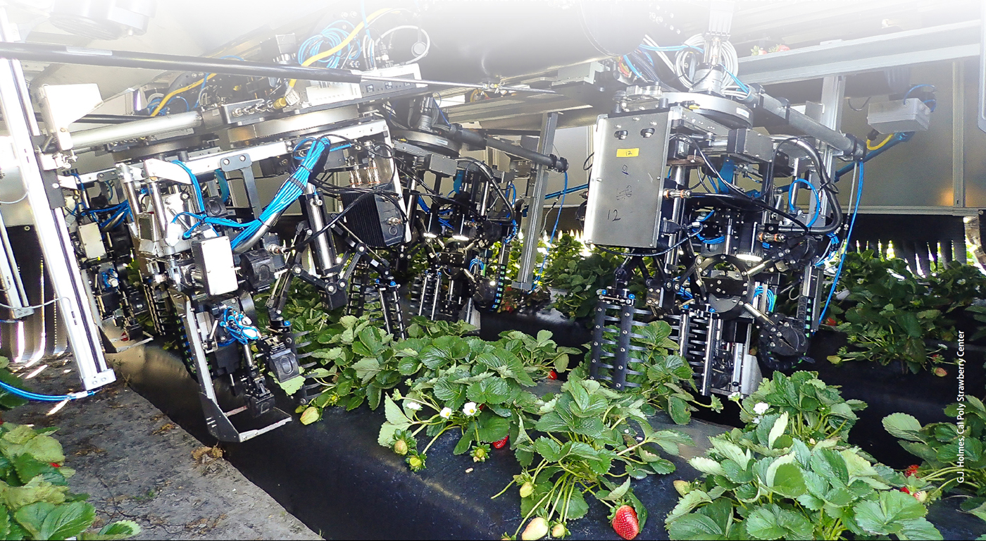 Robotic picking arms on a Harvest Croo Robotics automatic harvester. The speed and accuracy with which robotic harvesters can pick ripe strawberries is critical to their economic feasibility.