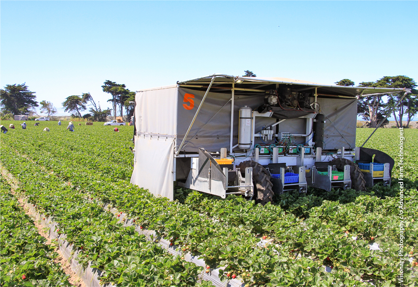 Exterior view of an Advanced Farm Technologies robotic strawberry harvester. Advanced Farm is one of a handful of companies currently working with strawberry growers to test and refine robotic harvest technologies.