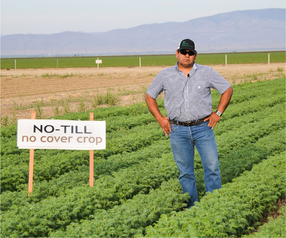 UC Westside Research and Extension Center Superintendent Rafael Solorio stands in a no-tillage no cover crop (NTNO) garbanzo plot. Photo: Jeffrey P. Mitchell.