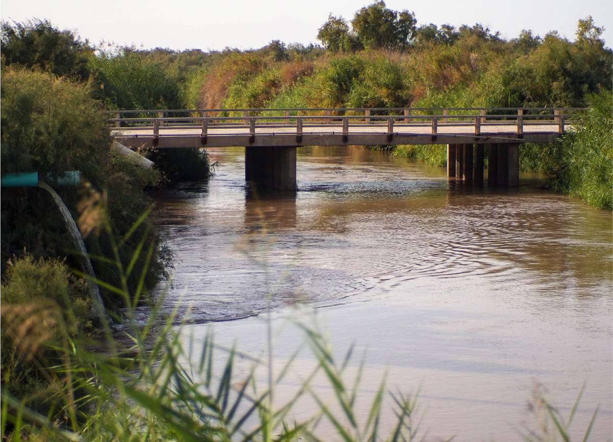 Agricultural runoff (left) entering the Alamo River. Photo: Caroline Hung.