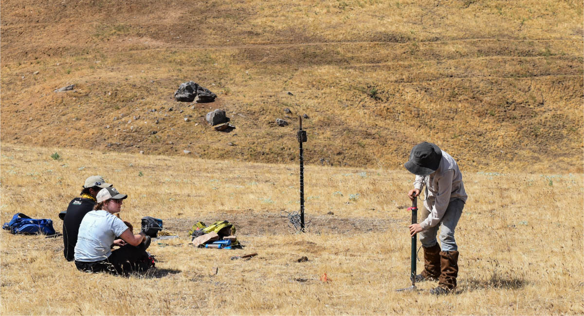 Mary McDonnell, Dylan Stover and Tara Harmon (from right to left) taking turns to collect soil in a grassland plot, Tejon Ranch, Calif. Photo: Lina Aoyama.