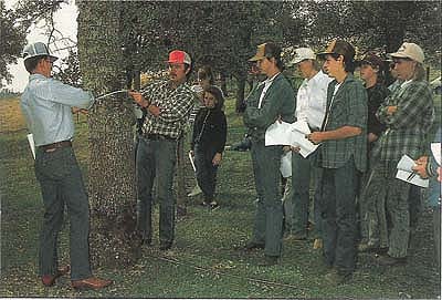 Station Superintendent Mike Connor and Extension Natural Resources Specialist Doug McCreary measure tree diameter in a demonstration of stand evaluation techniques to a group of students.