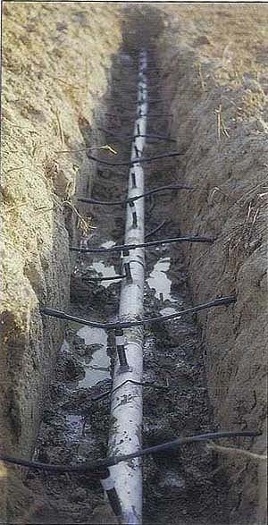 Four-inch sub-mainline is shown in a trench which runs across the furrows. Lines of drip tubing which have been shanked under the center of each 40-inch cotton bed are connected to the sub-mains before burying the line.