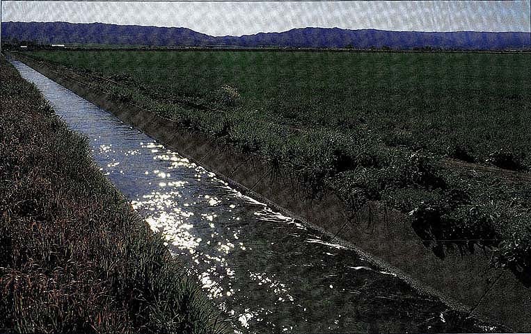 Concrete irrigation ditch near Winters in Yolo County.