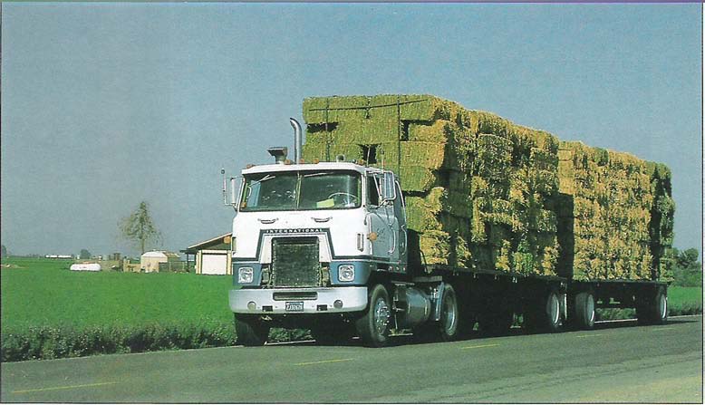 Truck carrying alfalfa in Kings County.