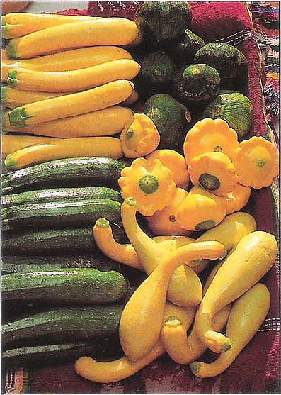 The production shifts expected in broccoli and asparagus may also occur in other specialty crops, including squash.