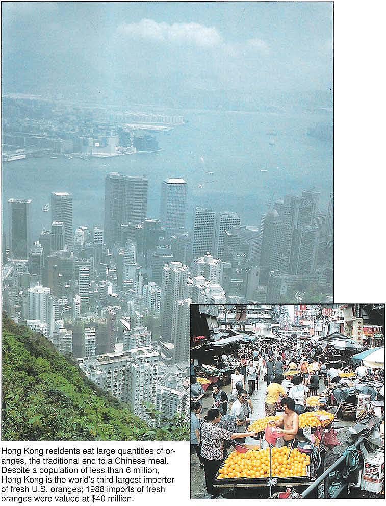 Hong Kong residents eat large quantities of oranges, the traditional end to a Chinese meal. Despite a population of less than 6 million, Hong Kong is the world's third largest importer of fresh U.S. oranges; 1988 imports of fresh oranges were valued at $40 million.