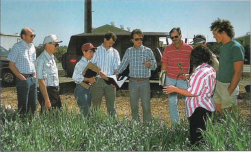 Ken Cassman talks to farm advisors about nitrogen application. From left to right are Larry Strand, Bill Weir, Wynette Sills, Mick Canevari, Ken Cassman, Lee Jackson, Marilyn Miller and Bruce Linquist.