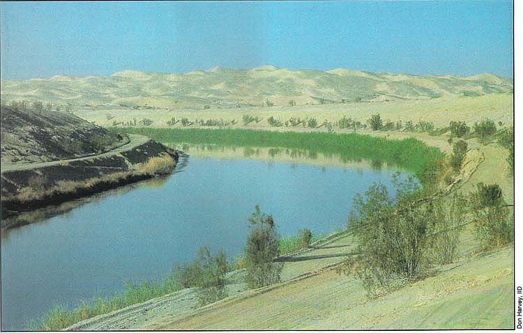 It is projected that if a 23-mile section of the All American Canal which traverses sand dunes were lined with concrete, it would conserve 70,000 acre-feet of water annually.