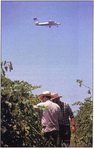 Measurements of ozone deposition and greenness were obtained by aircraft directly over the heads of researchers obtaining measurements of photosynthesis and stomatal conductance in an irrigated vineyard.