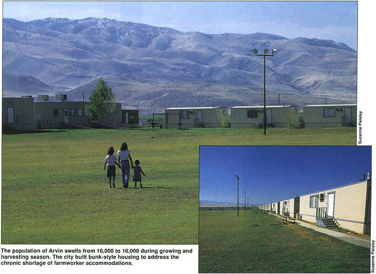 The population of Arvin swells from 10,000 to 16,000 during growing and harvesting season. The city built bunk-style housing to address the chronic shortage of farmworker accommodations.