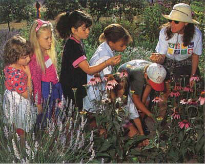 At-risk kids can benefit from programs that encourage working together with adult supervision. Here, schoolchildren identify herbs by smell, taste and touch.