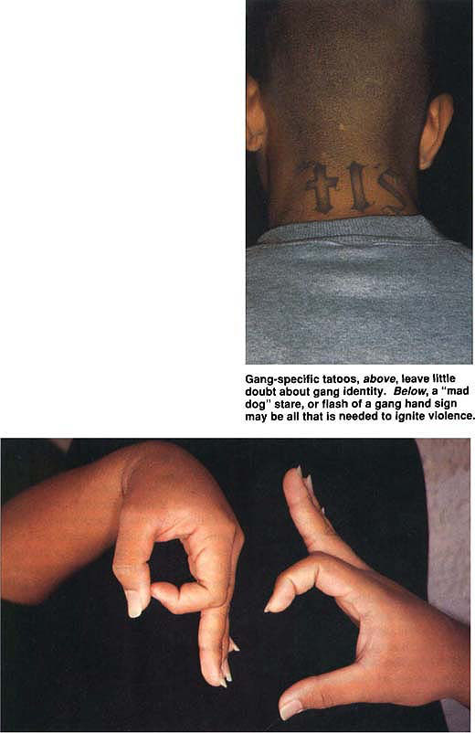 Gang-specific tatoos, above, leave little doubt about gang identity. Below, a “mad dog” stare, or flash of a gang hand sign may be all that is needed to ignite violence.