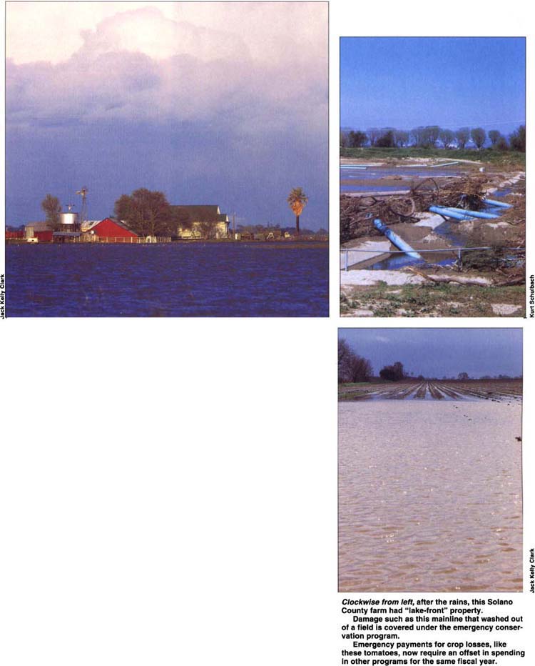 Clockwise from left, after the rains, this Solano County farm had “lake-front” property. Damage such as this mainline that washed out of a field is covered under the emergency conservation program. Emergency payments for crop losses, like these tomatoes, now require an offset in spending in other programs for the same fiscal year.