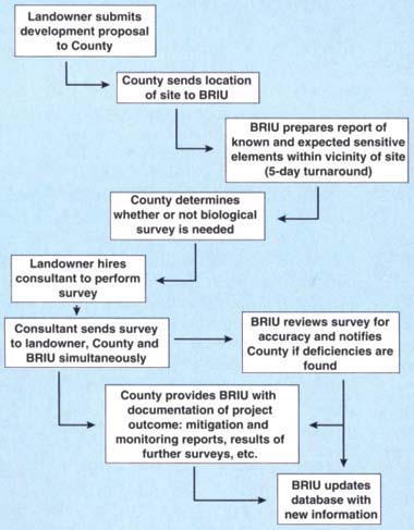 Flowchart for proposed incorporation of the Biological Resources Information Unit (BRIU) into Riverside County's environmental review process.