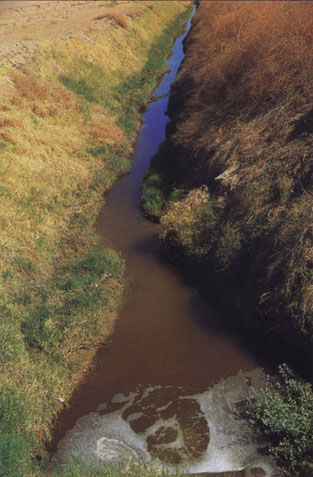 Agricultural runoff from Imperial Valley fields flows through a drainage canal to the Salton Sea.