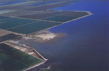 Rising water levels in the Salton Sea have flooded adjacent farmland and other property.