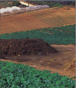 Many growers have already adopted practices to minimize nonpoint-source pollution, the biggest water quality problem in the state. This San Diego County farm uses cover crops and composting.