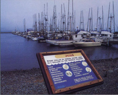 The information generated by the nation's largest Sea Grant program has had far-reaching consequences for the use of California's coastal resources: the foundation of marine aquaculture, new medicines from the sea, improved safety of oil and gas technology and the improved productivity and sustainability of California's commercial fishing industry.