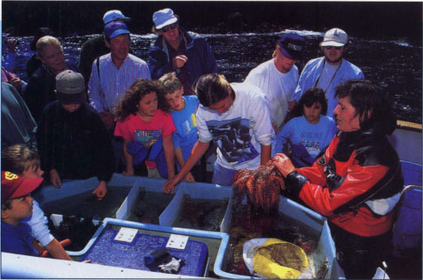 Tourists examine starfish, sea cucumbers and other marine organisms in the “touch tank,” an aquarium aboard the commercial tour boat Condor, and ask questions about marine protected areas.