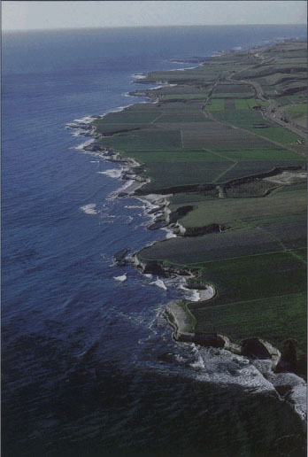 In 1986 San Mateo County voters approved a ballot measure to protect their coast, including local farms, from development.