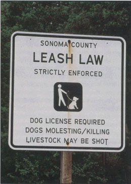 Ranchers are wary of dogs that run loose because some have maimed and killed livestock.