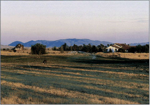 In the Central Valley, an estimated 400,000 acres have been designated for rural residential uses, much of that for large-lot ranchettes.