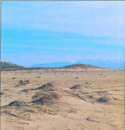 From 1988 through 1991, barren lands In the western Mojave Desert were a major source of fugitive dust and fine paniculate matter during periods of high wind.