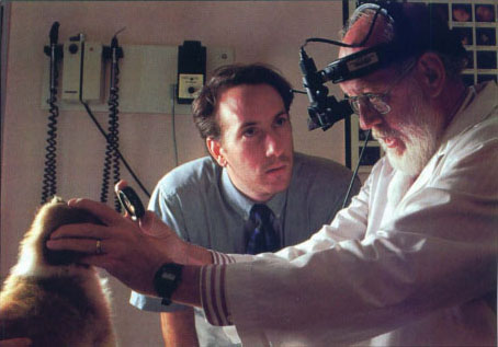This student and faculty clinician are able to view the puppy's retina simultaneously through specialized instruments.