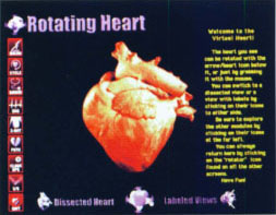 The virtual heart interactive CD-ROM shows the structure and function of a canine heart.