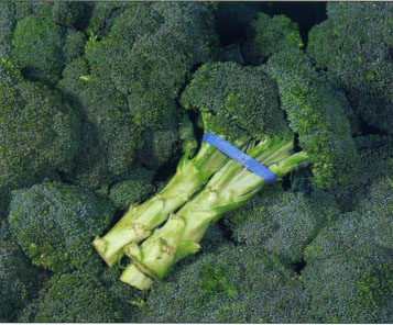 Growers of minor specialty crops, like broccoli, may find that transgenic research that could benefit them is never developed and commercialized because the potential market is too small to attract the attention of the private sector.