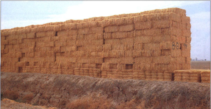 Hay producers in the irrigated Sonoran Desert normally store hay unprotected alongside ditch banks.