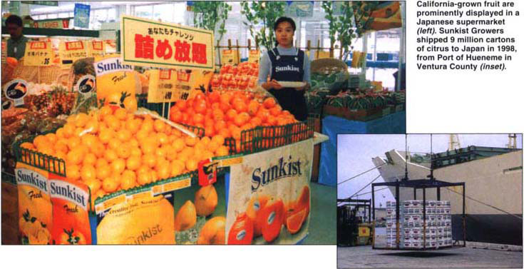 California-grown fruit are prominently displayed in a Japanese supermarket (left). Sunkist Growers shipped 9 million cartons of citrus to Japan in 1996, from Port of Hueneme in Ventura County (inset).