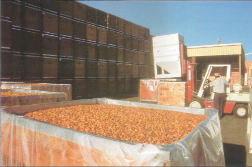 The transition to higher-value crops, such as almonds, demands more labor and specialized inputs.