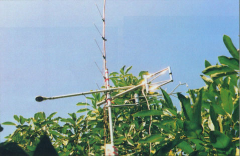 Energy balance measurements over an avocado orchard near Camarillo to estimate evapotranspiration.