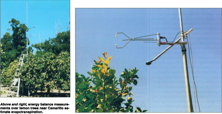 Above and right, energy balance measurements over lemon trees near Camarillo estimate evapotranspiration.