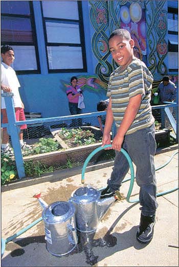 More than 1,800 California schools (out of about 8,500 total) have gardens, and nearly all may have at least one by 2025. A UC 4-H research project is evaluating the role of school gardens in education, including at Cesar Chavez Elementary School in San Francisco.