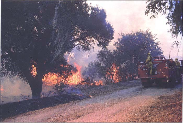 In October 1997, CDF and the Camp Roberts Fire Department experimentally burned 500 acres of oak woodland. Researchers evaluated the effects of the prescribed burn on blue oak and coast live oak saplings.