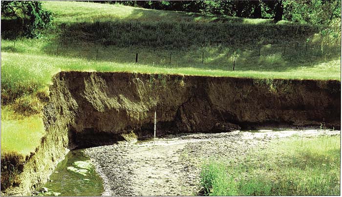 Source site of sediment delivery associated with gully erosion and resulting from road drainage management and culvert design. Current water-quality regulations require inventory, monitoring and mitigation of this site.