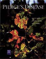 Pierce's disease