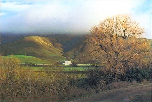 In a survey, the main reasons landowners cited for selling easements were cash, maintaining family ownership and conservation. In Marin County, Marin Agricultural Land Trust's purchase of a 400-acre easement allowed the lelmorini family to buy this dairy, which they had leased for 6 years.