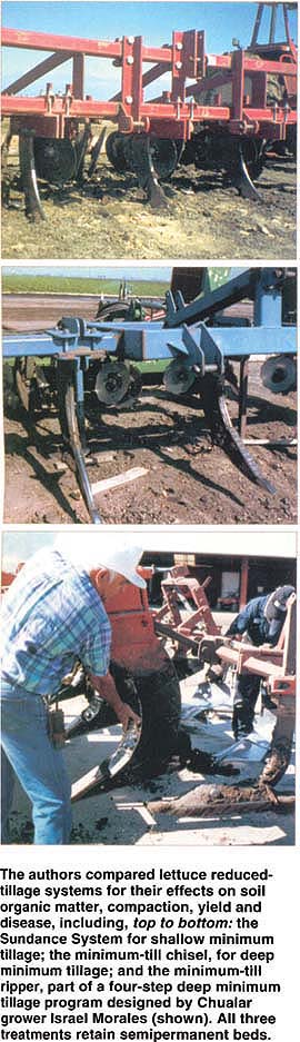 The authors compared lettuce reduced-tillage systems for their effects on soil organic matter, compaction, yield and disease, including, top to bottom: the Sundance System for shallow minimum tillage; the minimum-till chisel, for deep minimum tillage; and the minimum-till ripper, part of a four-step deep minimum tillage program designed by Chualar grower Israel Morales (shown). All three treatments retain semipermanent beds.