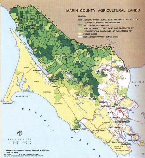 Depending on their location, agricultural easements can work closely with local government land-use planning to influence the pattern of urban growth in a community. In this map of Marin County, all 45 easements on 30,000 acres of dairy and ranch land — acquired by Marin Agricultural Land Trust (MALT) since its first transaction in 1983 — are located in Marin's rural agricultural corridor, an area identified for preservation in the county government's general plan during the late 1970s. The easements support the plan by helping block the expansion of urban growth from the eastern corridor, where the county's cities are situated along Highway 101, and by impeding the building of rural residences for nonfarmers on agricultural parcels. With several large blocks of ranchland currently covered, MALT's easement acquisitions are gradually filling in the county's agricultural area.MALT's experience is not, however, the norm for California land trusts. As independent nonprofit organizations with grassroots origins, land trusts generally operate at an organizational and political distance from local governments; this Independence can cause tension between a trust's easement acquisitions and county and city land-use policies.