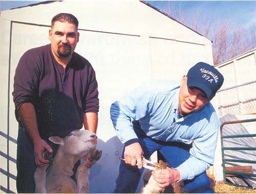 Students involved in extracurricular activities had higher grades, were at lower risk of dropping out, and had the highest educational aspirations. At Vacaville High School, agriculture instructor Nick Johnson, left, helps student Albert Hall trim a sheep's hooves at the school's minifarm. Hall is president of the local Future Farmers of America.
