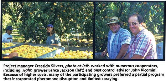 Project manager Cressida Silvers, photo at left, worked with numerous cooperators, including, right, grower Lance Jackson (left) and pest control advisor John Ricomini. Because of higher costs, many of the participating growers preferred a partial program that incorporated pheromone disruption and limited spraying.