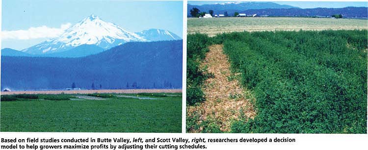 Based on field studies conducted in Butte Valley, left, and Scott Valley, right, researchers developed a decision model to help growers maximize profits by adjusting their cutting schedules.