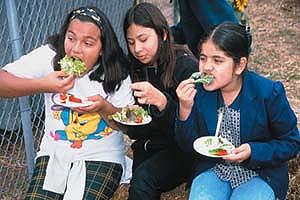 Many low-income Latinos served by UC Cooperative Extension may have significant risk factors for diabetes, yet lack awareness and have not been screened. Early intervention, such as teaching young people healthier eating habits, is critical for preventing and managing type 2 diabetes.