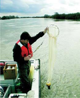 William Sobzcak, former U.S. Geological Survey postdoctoral researcher, samples for zooplankton in the Delta.